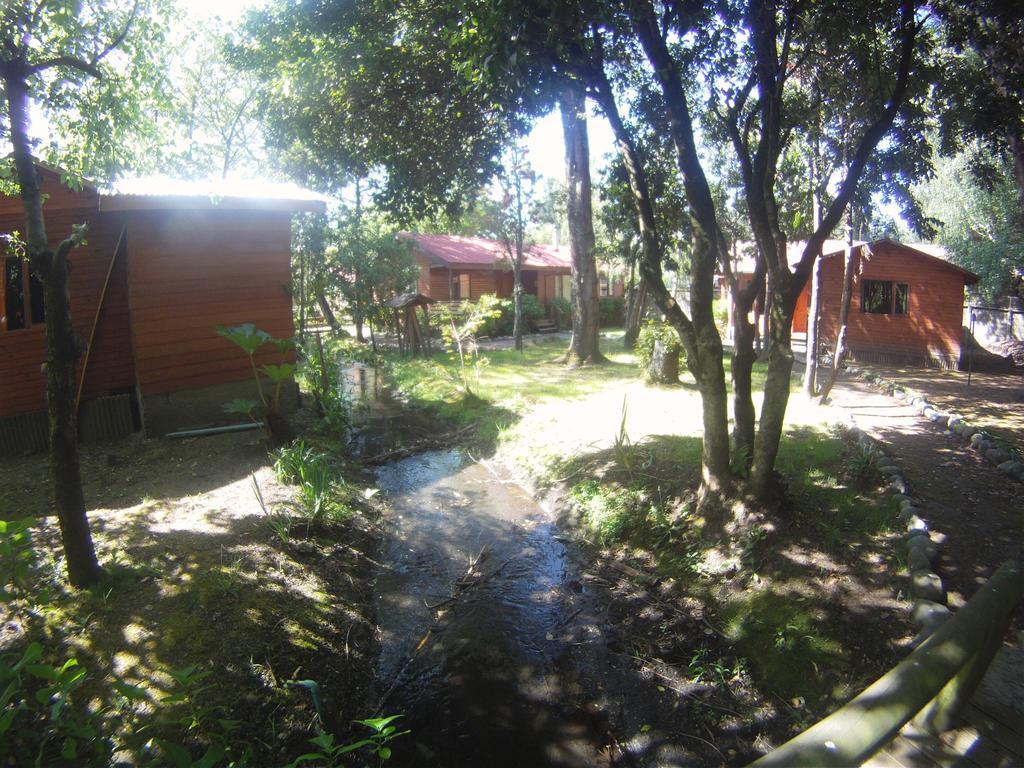 Cabanas Santa Maria Pucón Kültér fotó